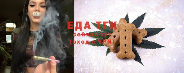 индика Белокуриха