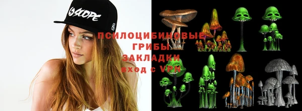 шишки Беломорск