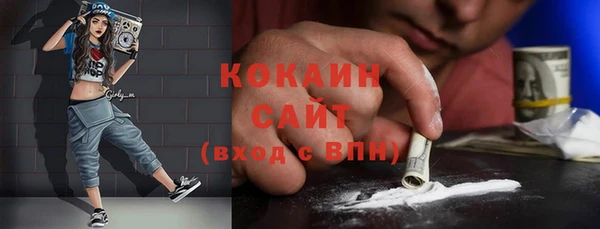 тгк Богородицк