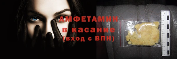 индика Белокуриха