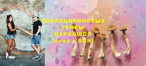 индика Белокуриха