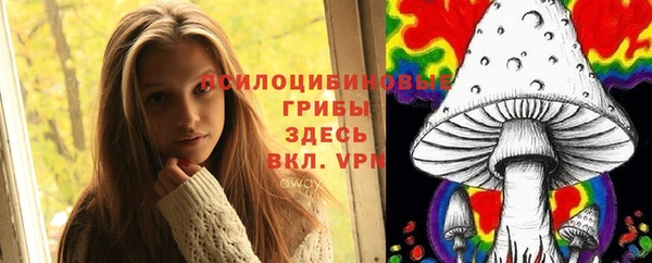 шишки Беломорск
