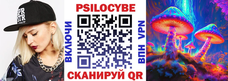дарнет шоп  Богородицк  Псилоцибиновые грибы Magic Shrooms 