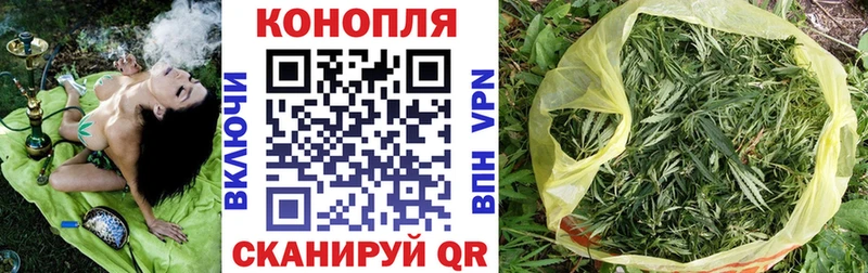 Каннабис семена  наркошоп  mega онион  Богородицк 